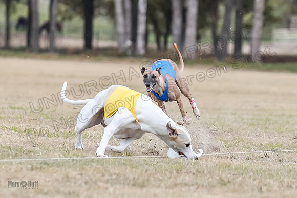 Finals Open 2 Cheese PeteySue Treble-3964