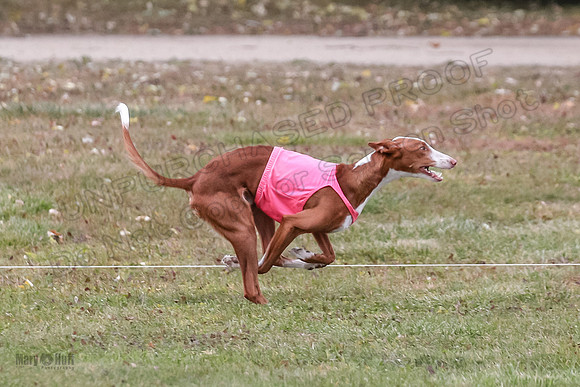 1 Prelims Fch 2 Madyson Maverick-5816