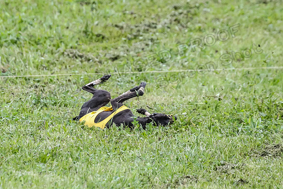 Prelim Open E1, Sid Emoji Bumble-4754