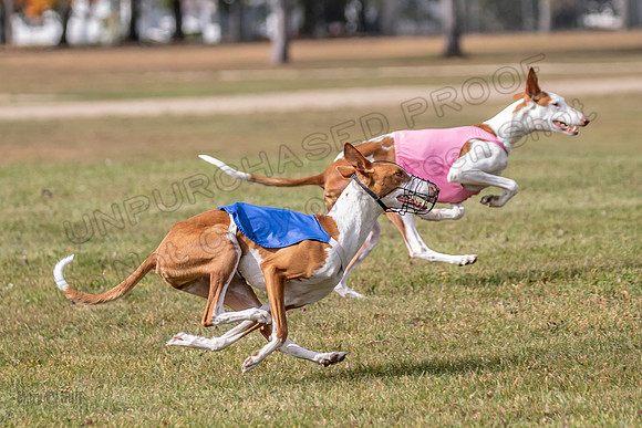 Finals Fch 1 Penny Jadis Madyson-3093