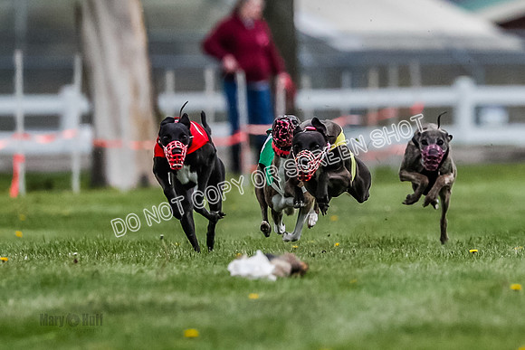 WRA, Prg 1, Race 4, Cassie Duesenberg Warrior Muchu Jasmine-8291