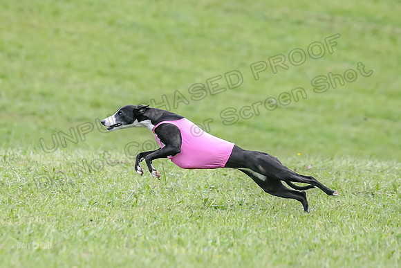 Prelim Open F5, Brinca Laila Storm-9386