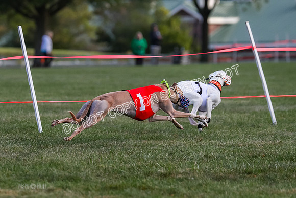 Prg 1, race 4, Rarity Hillary Barley Clyps-0659