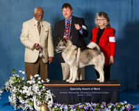 Elkhound 2020-1199-Edit