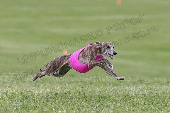 Finals Open E4, Sunshine Siren Shadow-1141