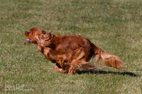 IMG_1600