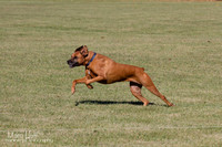 IMG_1751