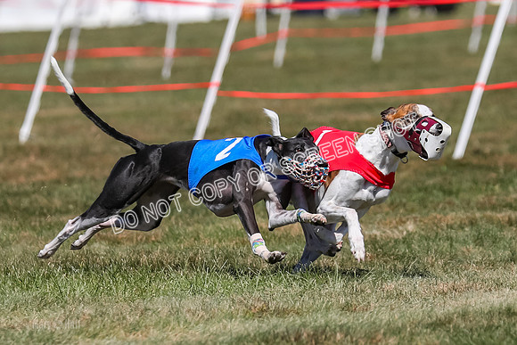 Prg 3, Race 9, Bibi Maybe Nami Rosie-2165