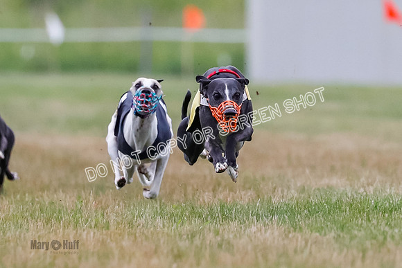Prg 3, Race 4, Rowan-Jett-Blaze-Shimmy-Bogie-1119