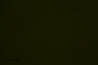 Cat Test 1-9839