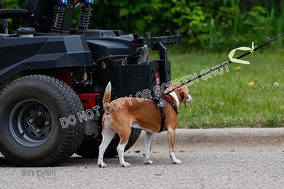 L3 Vehicle-7261