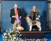 Elkhound 2020-1102