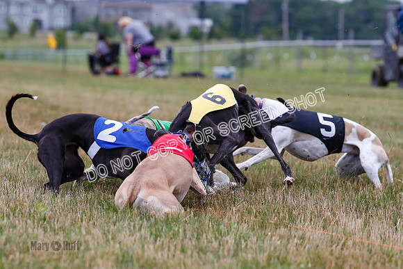 Prg 3, Race 4, Rowan-Jett-Blaze-Shimmy-Bogie-1151