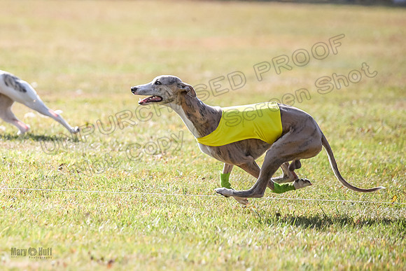 Finals Open 2 Fennec Keegan AnnieOakley-3924