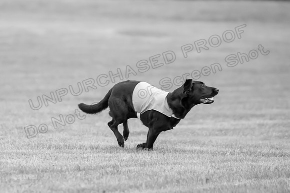 Prelims Rowan-0849-2