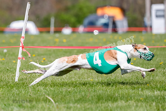 NOTRA Program 2, Race 6, Cinder Stormy Gibbs Shakespeare-2-9