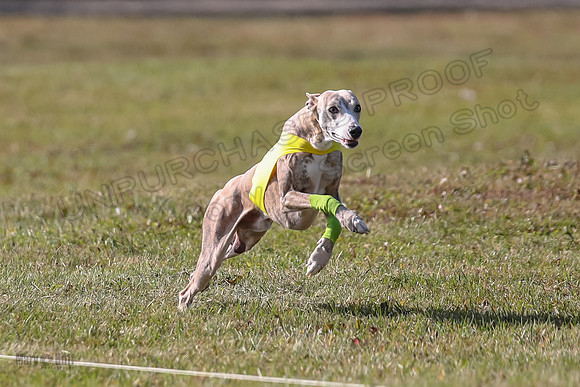 Finals Open 2 Fennec Keegan AnnieOakley-3885