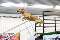 Air Retrieve