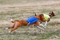 _E4I3936