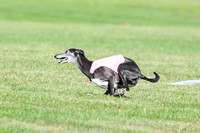 Memorial Run, Angel-3497