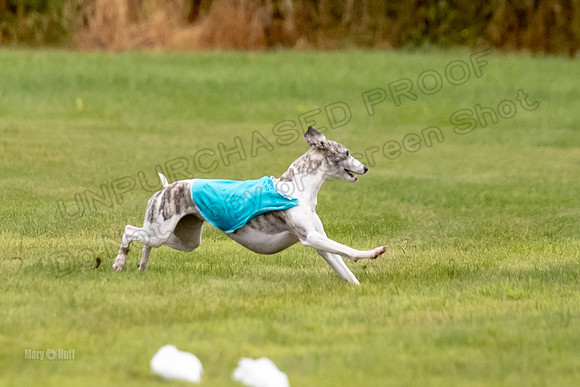 Prelims Misty-0631