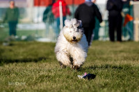 MCH73995