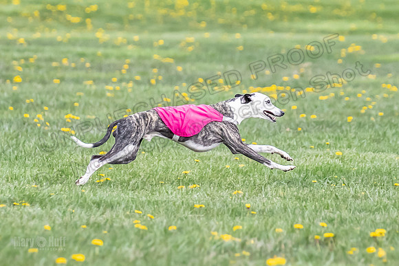 1 Prelim FCh A2 Keegan Really Rush-6670