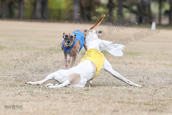 Finals Open 2 Cheese PeteySue Treble-3972