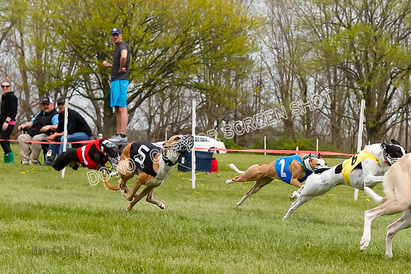 WRA, Prg 4, Race 5, Tahoe Tsunami Jamie Sandy Scooter-9345