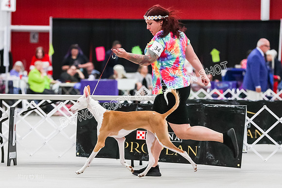 AE4I5574