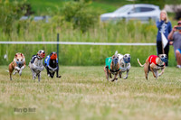 Prg 2, Race 4, Marty, Bogie, Denim, Meatloaf, Blaze, Raz-0983