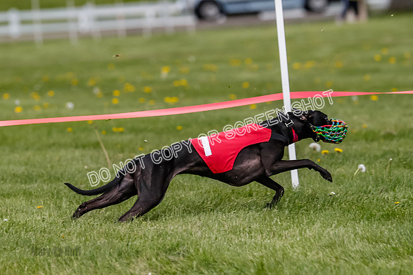 NOTRA Program 3, Race 6, Nami Jamie Sandy Elia-2-14
