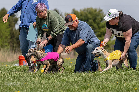 Finals Spec A2 salty Pyxis-4183