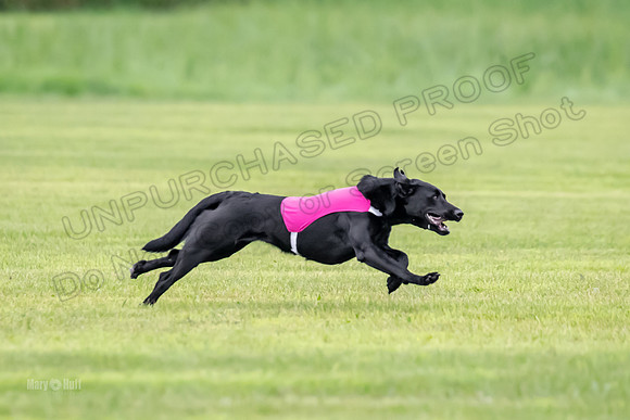 Prelims Rowan-0838