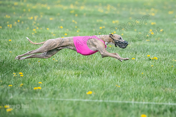 1 Prelim FCh A1 Carrie Finely JesseJames-6638