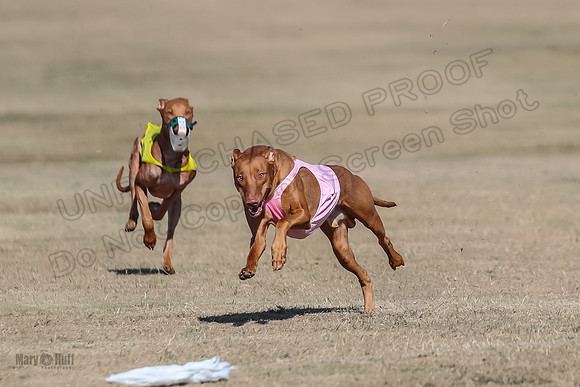Finals Spec 1 Tango Cayber-1787