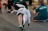 AE4I4315