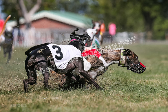 Prg 4, Race 1, Ruffian Flynn Nami Rigby Arrow Echo-0055
