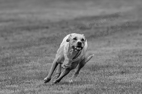 Prelims Zara-0825-2