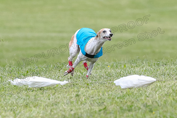 Finals Vets 4, Parker Marley Brag-2388