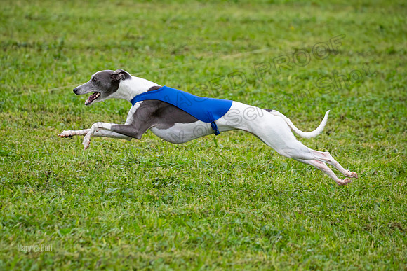Prelims Open A2, Poppy Mateo Misty-3223