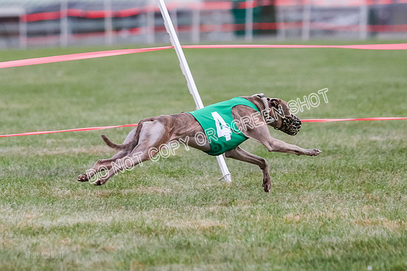 Prg 1, race 10, Bobo Piper Elvis Grit-0826