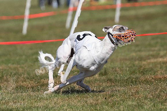 Prg 3, Race 4, Riggs Watson Intro-2011