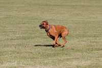 IMG_1747