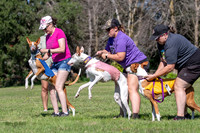 Prelims Fch 1 Ginny Willow Madyson-5409