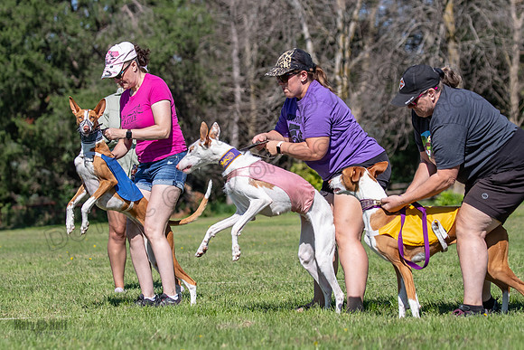 Prelims Fch 1 Ginny Willow Madyson-5409
