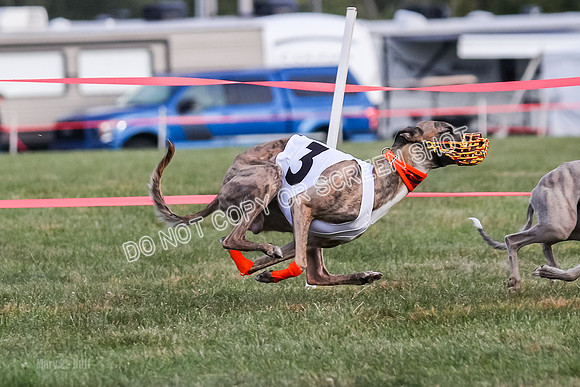 Prg 1, race 7, Cutter Dazzle Mika Rory-0720