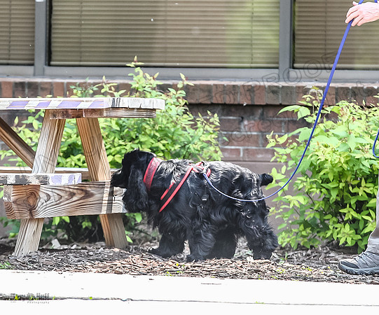 AE4I0364