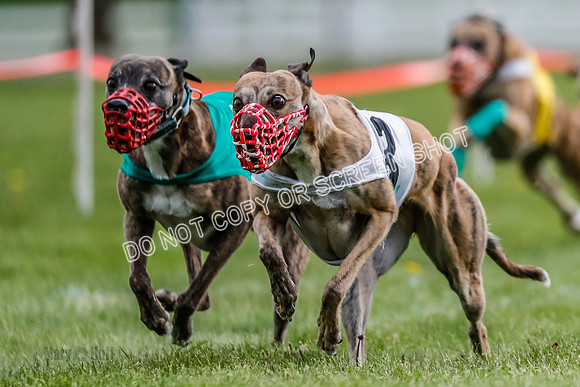 WRA, Prg 1, Race 5, Henry Eddie Deal Moki Feather Hit-8335