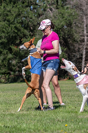 Prelims Fch 1 Ginny Willow Madyson-5420